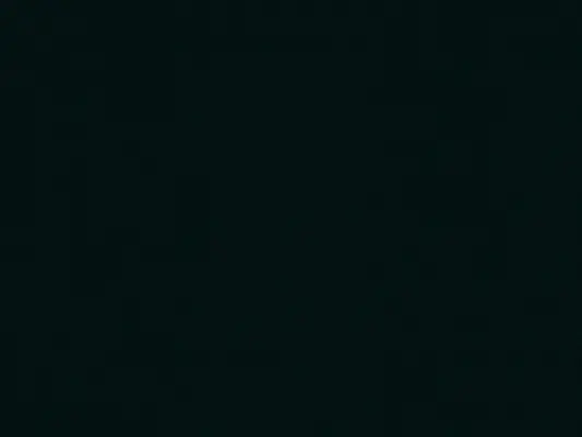 Nr. 994 Schwarz supermatt